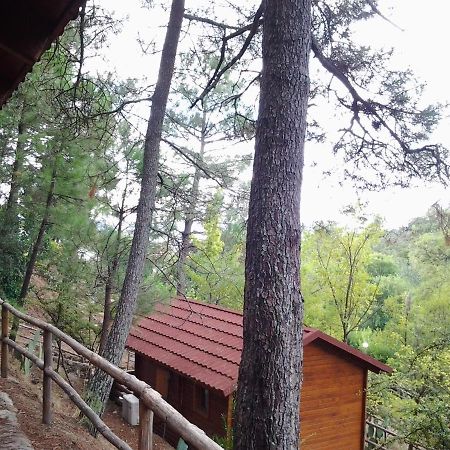 Camping La Eliza Ξενοδοχείο Lanzahita Εξωτερικό φωτογραφία