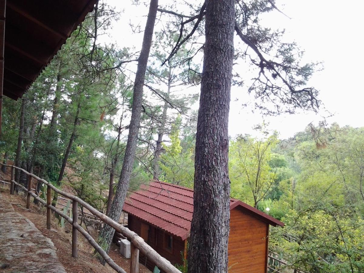 Camping La Eliza Ξενοδοχείο Lanzahita Εξωτερικό φωτογραφία