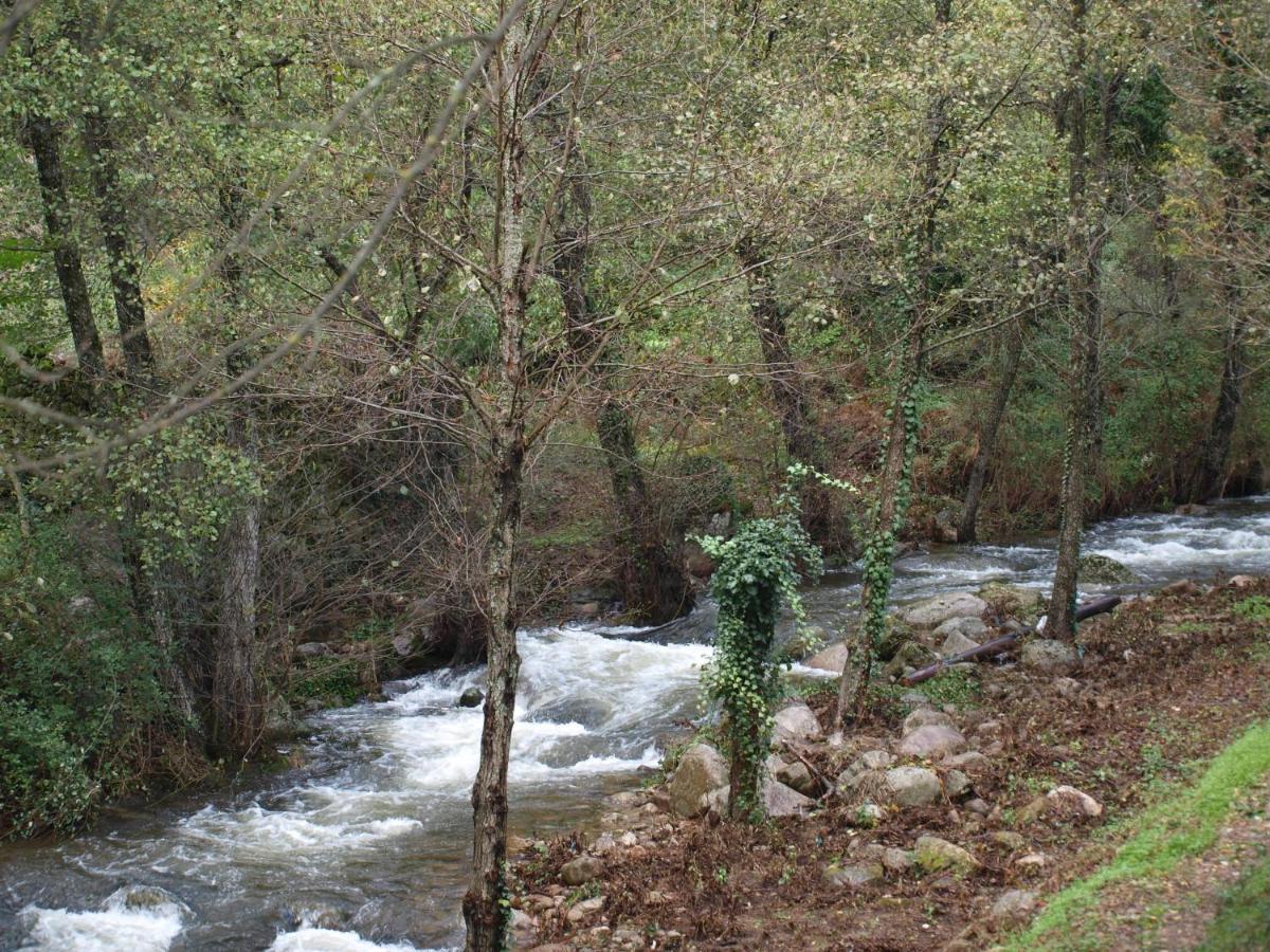 Camping La Eliza Ξενοδοχείο Lanzahita Εξωτερικό φωτογραφία