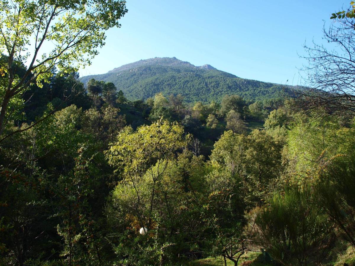 Camping La Eliza Ξενοδοχείο Lanzahita Εξωτερικό φωτογραφία