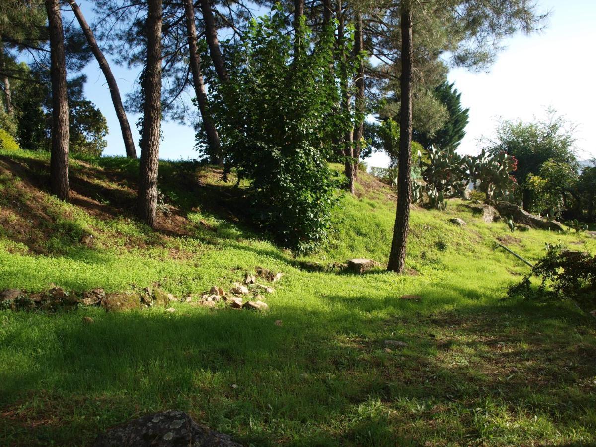 Camping La Eliza Ξενοδοχείο Lanzahita Εξωτερικό φωτογραφία